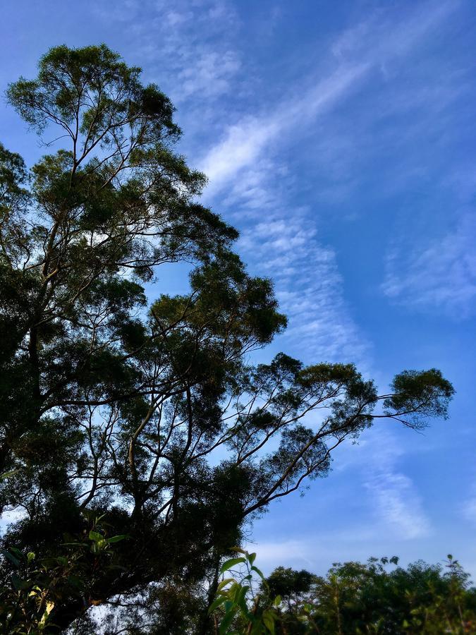 Wan Ruey Resort Hengshan ภายนอก รูปภาพ