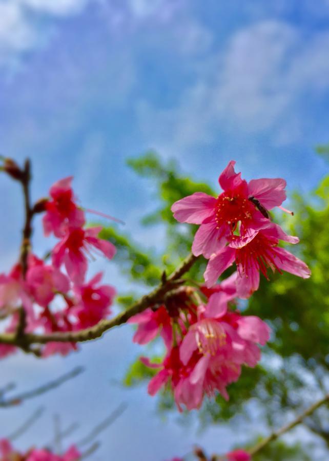 Wan Ruey Resort Hengshan ภายนอก รูปภาพ